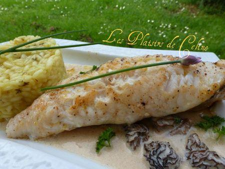 Lotte sauce aux morilles et son risotto