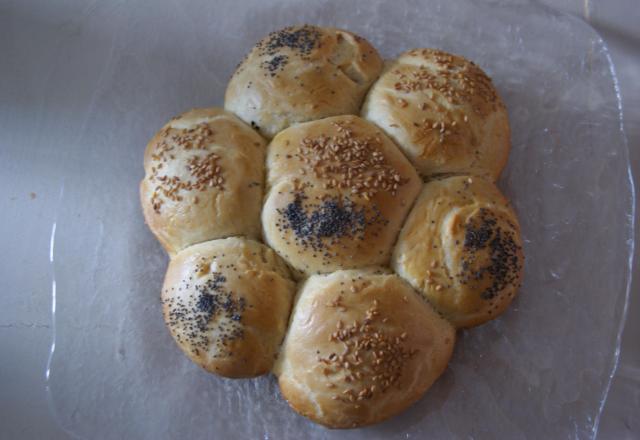 Petit pains aux graines de sésames et pavots