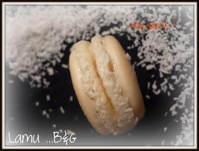 Macarons chocolat blanc et noix de coco