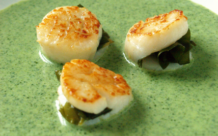 Velouté de cresson aux Saint-Jacques farcies au choux de mer