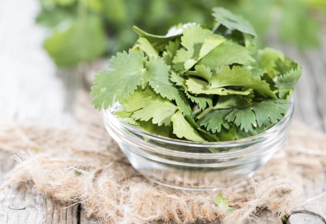 10 épices et herbes pour garder la ligne 