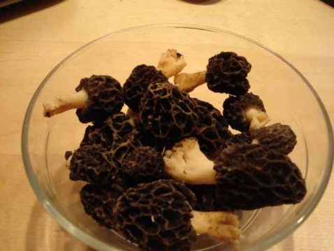 Morilles à la crème