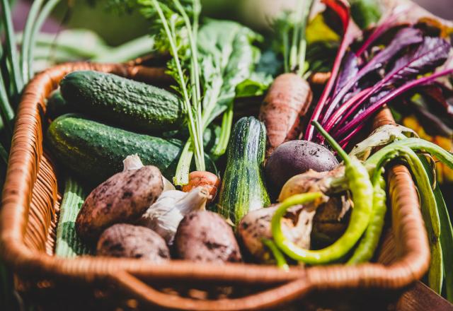 Quiz. Vous devriez avoir honte si vous ne connaissez pas les noms de tous ces légumes !