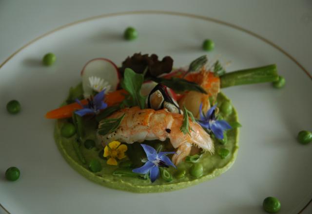 Langoustine sur un lit de petits pois, printanière de légumes