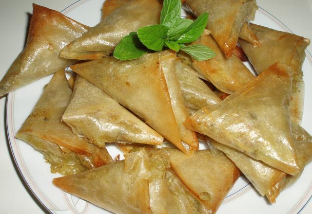 Samosa...du Sud Ouest