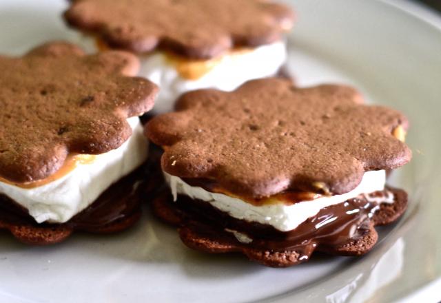 S'mores végétaliens