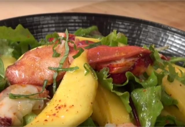 Salade de mangue au homard