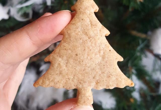 Sablés de Noël saveur Pain d'épices