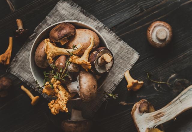 Cette technique simple va vous permettre de garder vos champignons plus longtemps