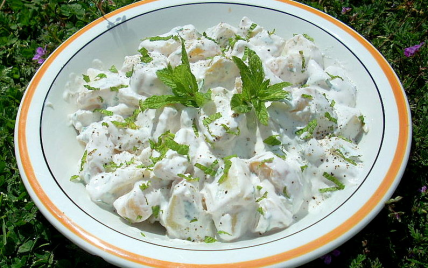 Salade de pommes de terre à la menthe