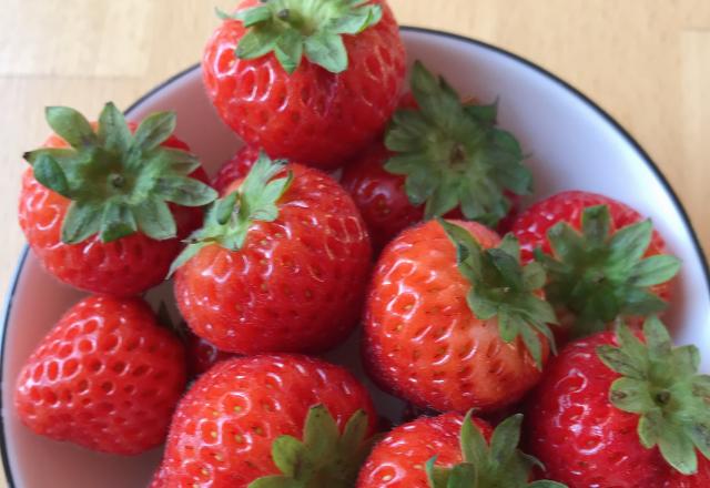 Agricool : la ferme urbaine qui cultive des fraises dans un container