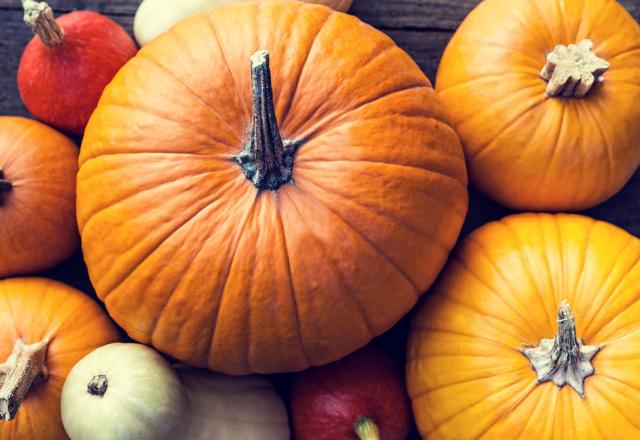 Plus lourd qu'un mec en fin de soirée, cette courge bat tous les records en France !