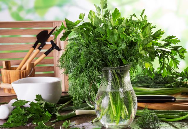 Ces herbes aromatiques que l'on devrait toujours avoir dans le jardin ou sur son balcon