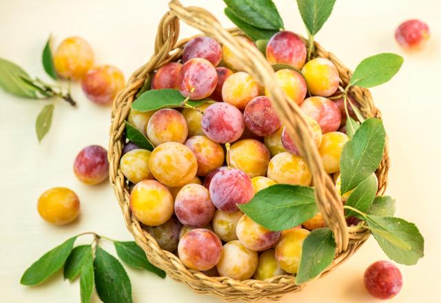 C’est de saison : comment bien congeler ses mirabelles pour en profiter toute l’année ?