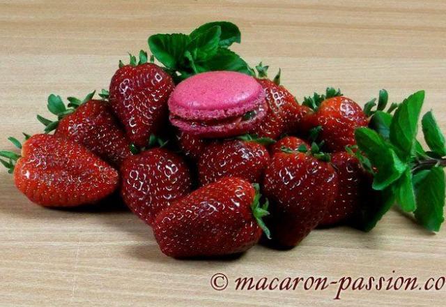 Macarons fraise menthe