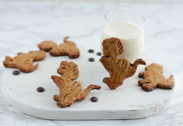 Biscuits façon Dinosaurus