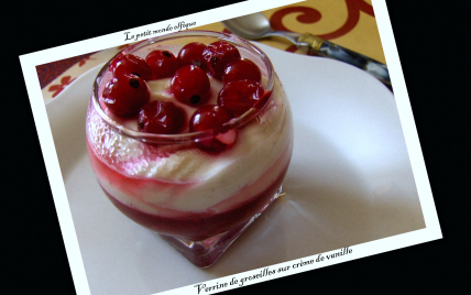 Verrine de groseilles et crème de vanille