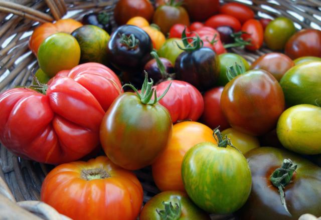 Faire ce simple geste permet de conserver les tomates jusqu’à 15 jours hors du frigo