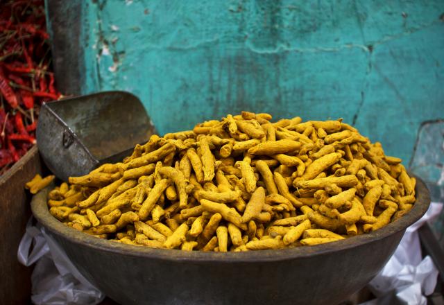 Les mets indiens qu'il faut absolument goûter 