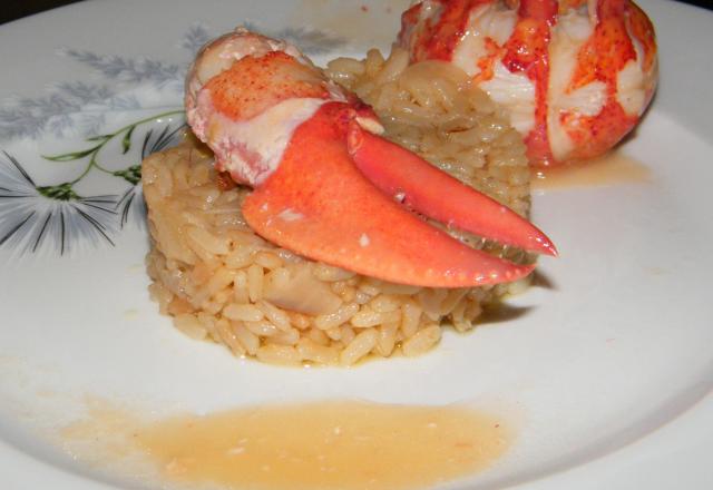 Civet de homard et son risotto