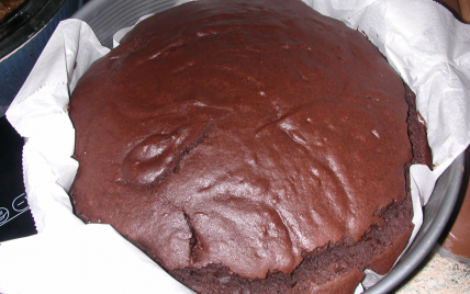 Gâteau léger au chocolat