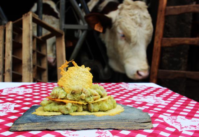 Mousseline de grenouilles sur croquants de comté