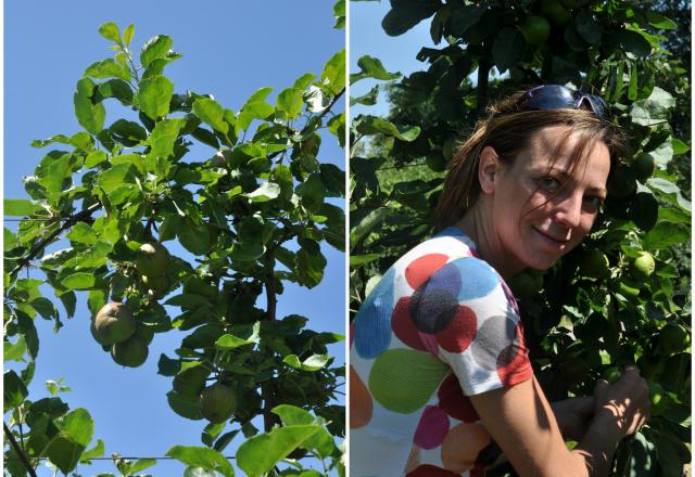 Fanny et Jean-Philippe Podevin, producteurs de pommes dans le Nord