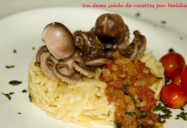 Bébés poulpe au pesto