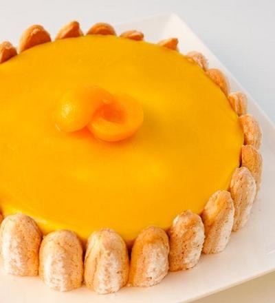 Charlotte mangue abricot