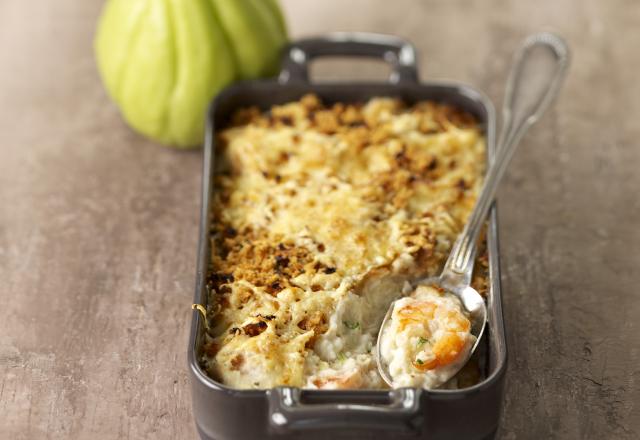 Gratin de christophine, sauce béchamel au roquefort