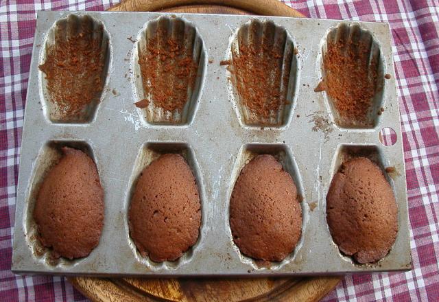 Madeleines au chocolat et fleur de maïs