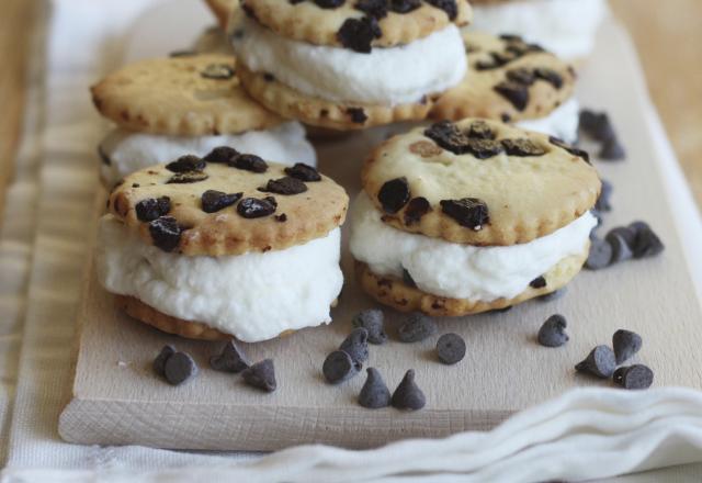 Ice cream biscuits