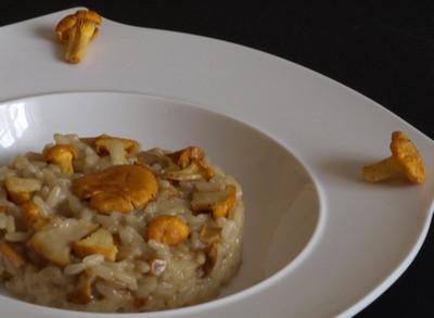 Risotto aux girolles