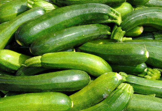 Est-ce qu’on peut manger des courgettes tous les jours ?