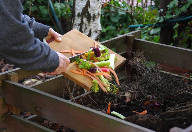 Quels aliments ne faut-il surtout pas mettre dans son compost ?