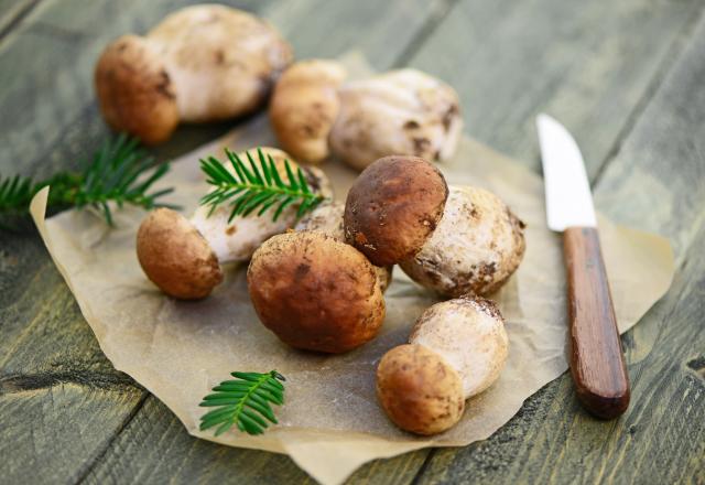 Comment préparer, nettoyer, faire cuire et cuisiner les cèpes ?