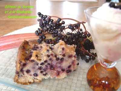 Gâteau sureau et rhubarbe à la ricotta