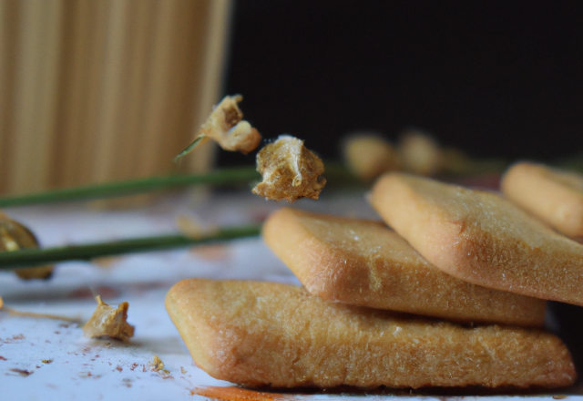 Biscuits gourmands de Zonzon