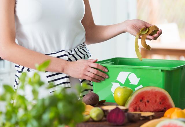 Lombricompost : l’art de transformer ses déchets en légumes