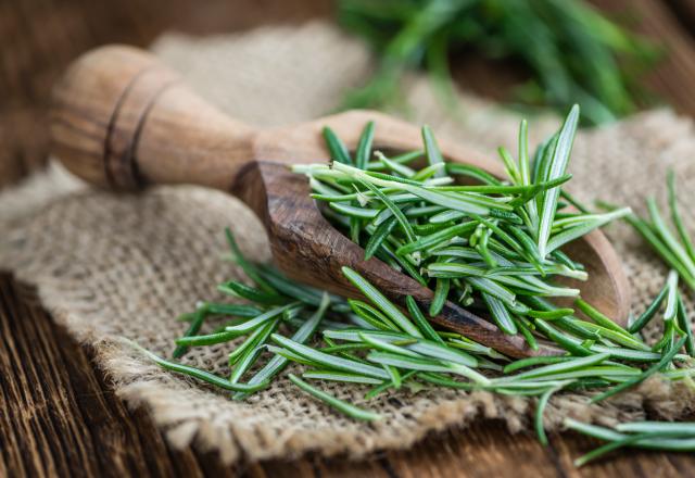 Cette plante aromatique idéale pour vos grillades et aussi le meilleur détoxifiant du foie !