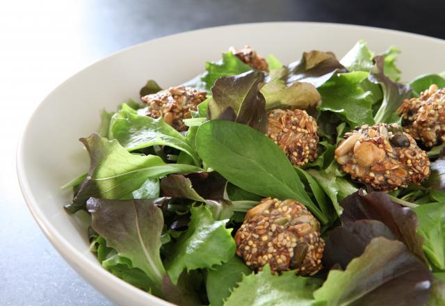 Croquettes de graines sur lit de jeunes pousses