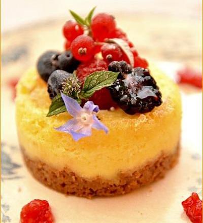 Cottage cheese-cake aux fruits rouges rapide