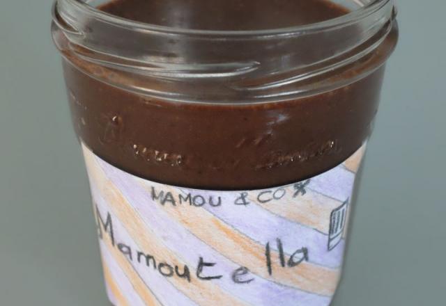 Mamoutella ou Nutella maison