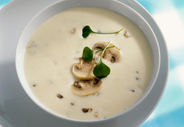 “Très facile et toujours réussi” : pour un délicieux velouté de champignons, testez cette recette conseillée par les lecteurs de 750g !