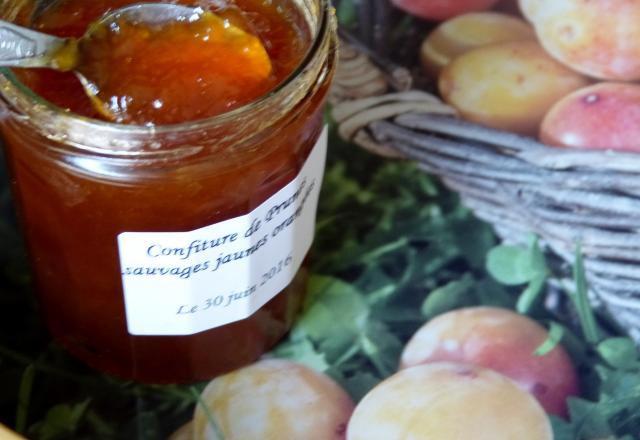 Confiture de prunes sauvages jaunes orangées