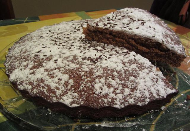 Gâteau moelleux au chocolat facile et rapide