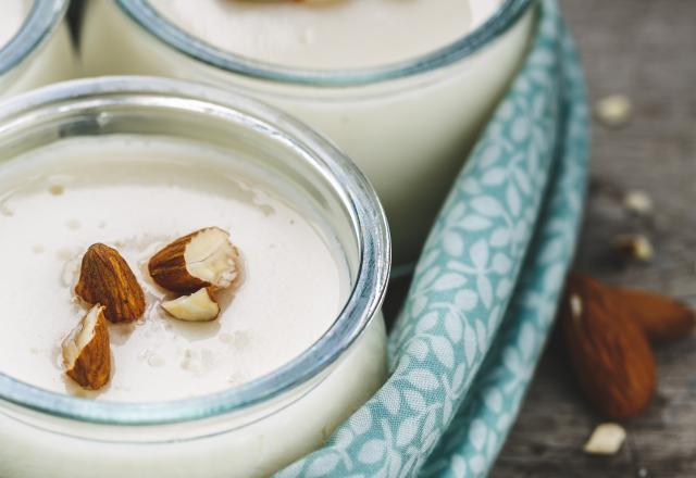 Comment faire ses propres yaourts au lait végétal ?