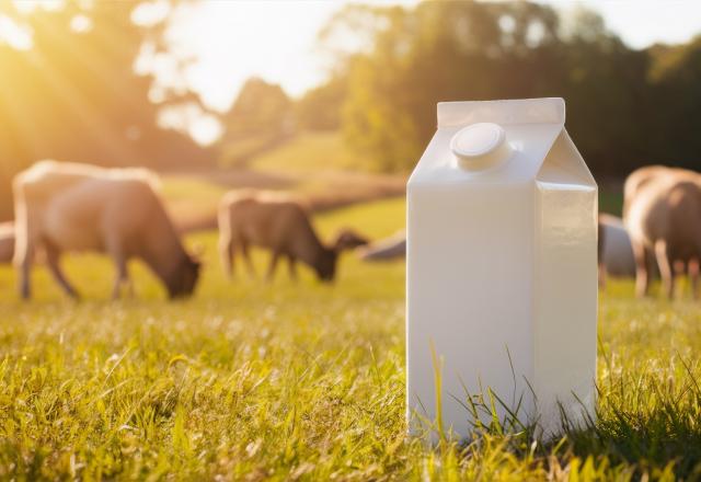 Votre brique de lait peut devenir plus utile et efficace qu’une pince à linge pour fermer vos paquets de pâtes ou de riz !