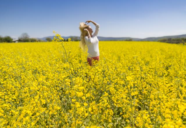 5 bonnes raisons de se mettre à l'huile de Colza