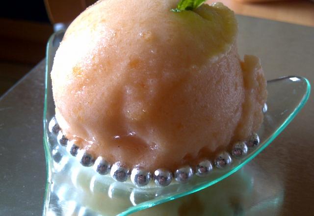 Sorbet au melon